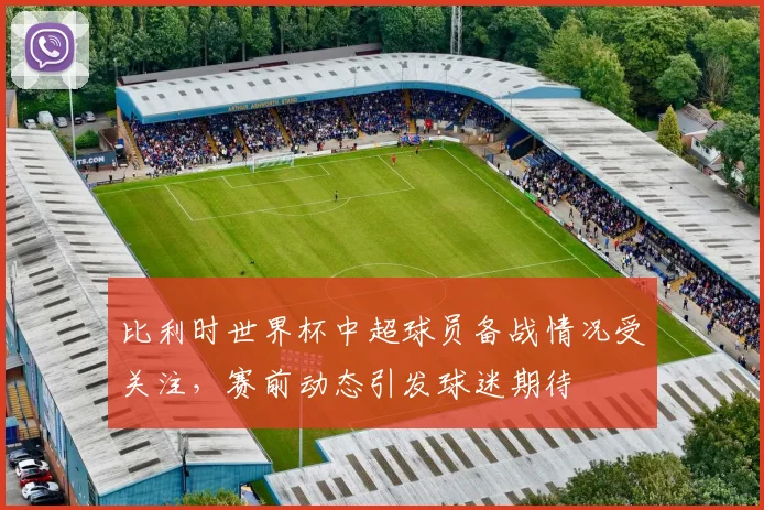 比利时世界杯中超球员备战情况受关注，赛前动态引发球迷期待